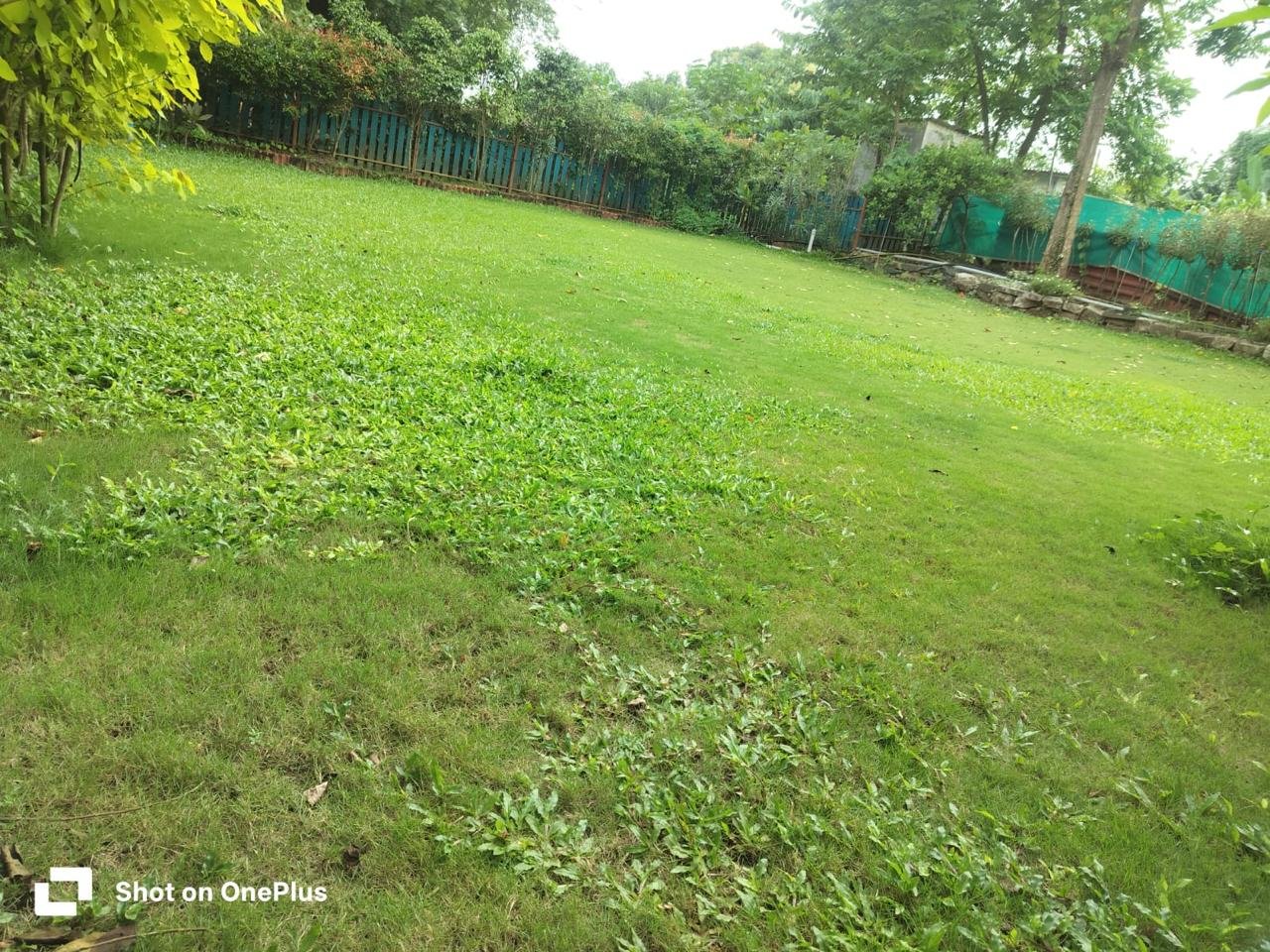 WhatsApp Image 2025-12-13 at 4.18.54 PM (1)