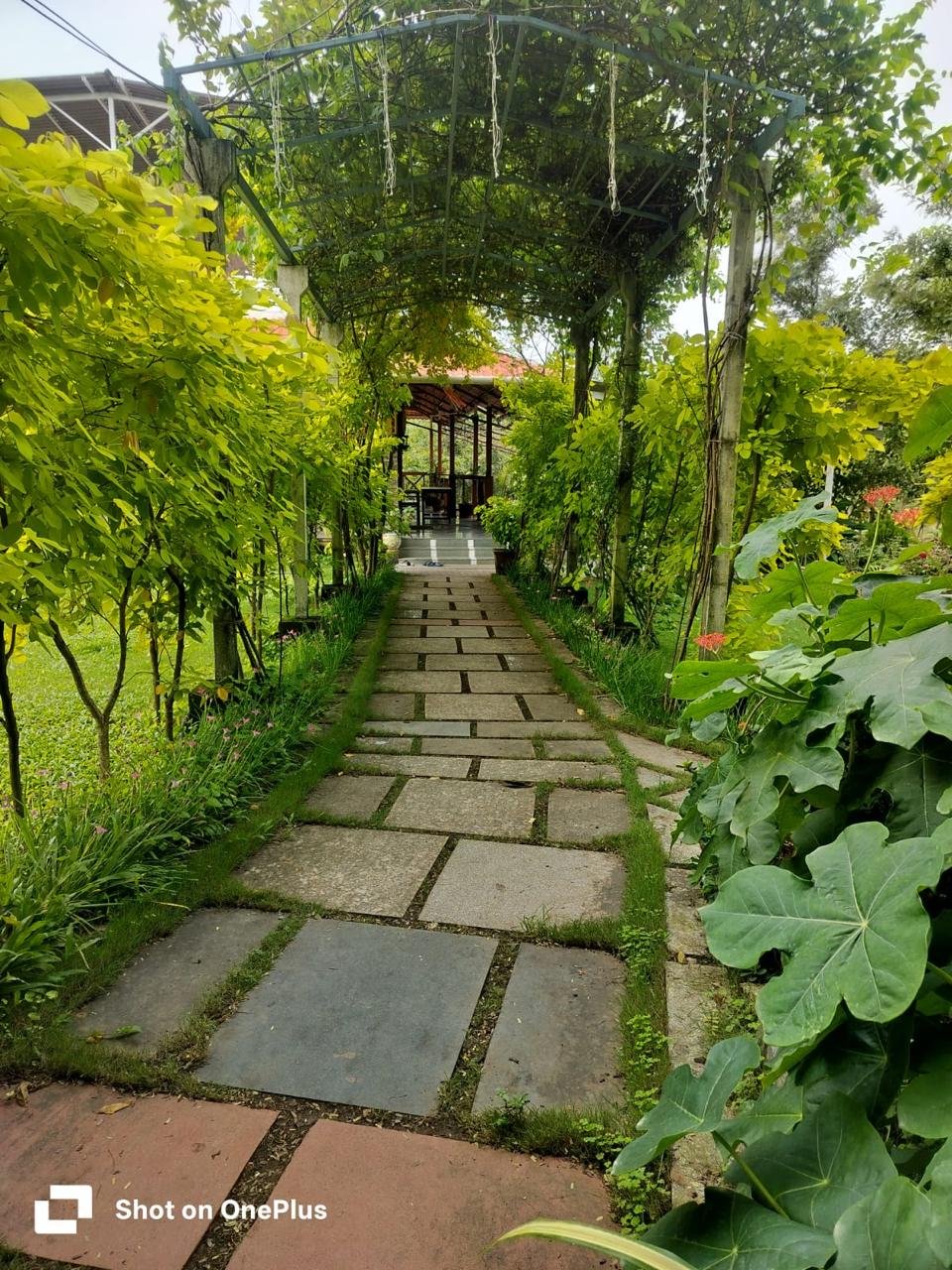 WhatsApp Image 2025-12-13 at 4.18.54 PM