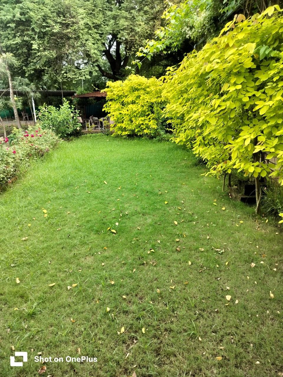 WhatsApp Image 2025-12-13 at 4.18.55 PM